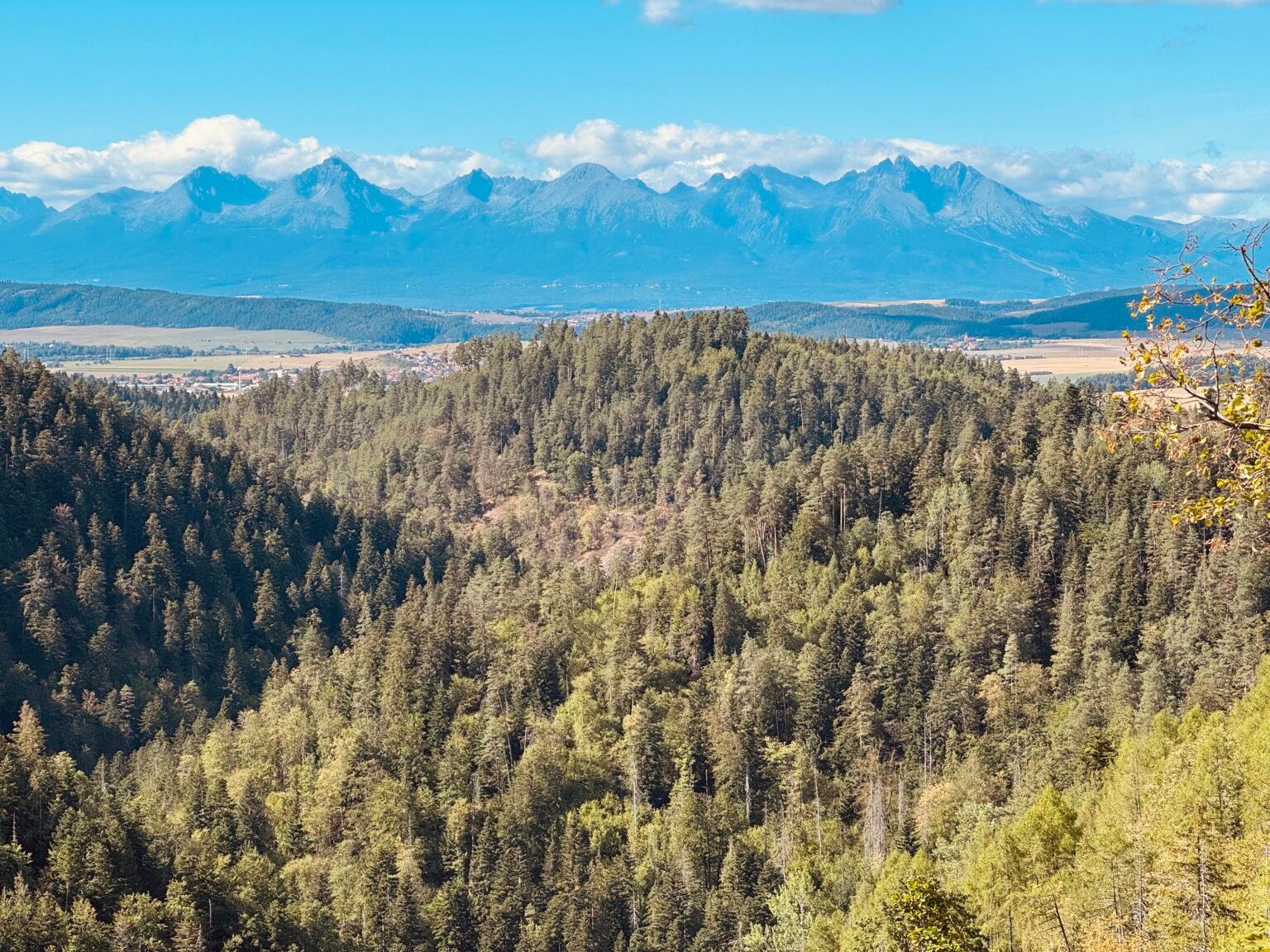Forested hills under a blue sky with a snow-capped mountain range on the horizon